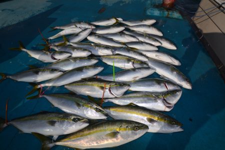アジアマリンサービス 釣果