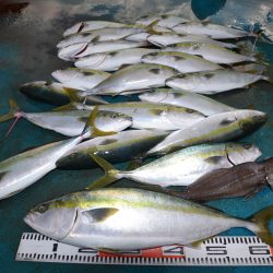 アジアマリンサービス 釣果