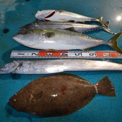 アジアマリンサービス 釣果