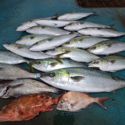 アジアマリンサービス 釣果