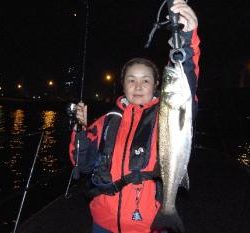 シーマジカル 釣果