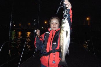 シーマジカル 釣果