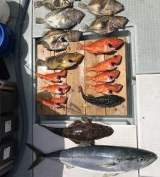 さぶろう丸 釣果