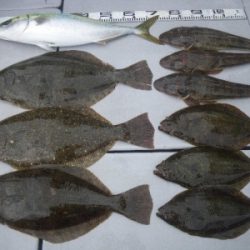 磯部釣船 直栄丸 釣果