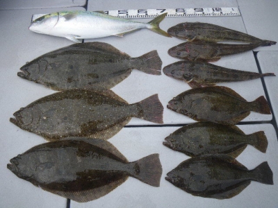 磯部釣船 直栄丸 釣果