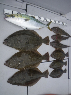 磯部釣船 直栄丸 釣果