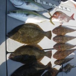 磯部釣船 直栄丸 釣果