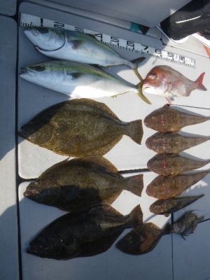 磯部釣船 直栄丸 釣果