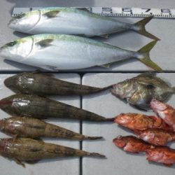 磯部釣船 直栄丸 釣果