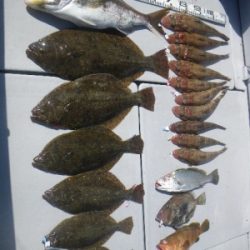 磯部釣船 直栄丸 釣果