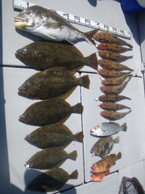 磯部釣船 直栄丸 釣果