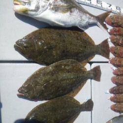 磯部釣船 直栄丸 釣果