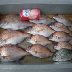 磯部釣船 直栄丸 釣果