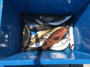 さぶろう丸 釣果