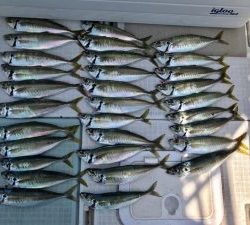 さぶろう丸 釣果