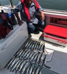 さぶろう丸 釣果