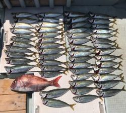 さぶろう丸 釣果