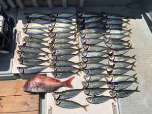 さぶろう丸 釣果