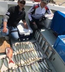 さぶろう丸 釣果