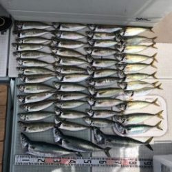 さぶろう丸 釣果