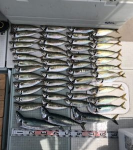 さぶろう丸 釣果