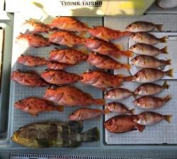 さぶろう丸 釣果