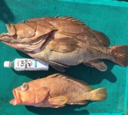 さぶろう丸 釣果