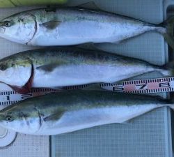 さぶろう丸 釣果