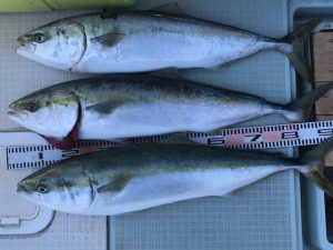 さぶろう丸 釣果