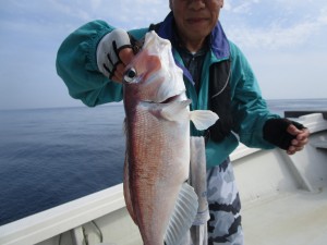 兼六丸 釣果