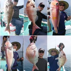 シードリーム 釣果