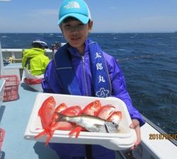 太郎丸 釣果