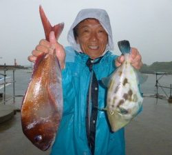 功成丸 釣果