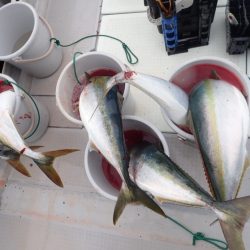 Aquanaut（アクアノート） 釣果