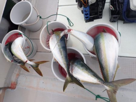 Aquanaut（アクアノート） 釣果