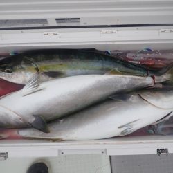 Aquanaut（アクアノート） 釣果