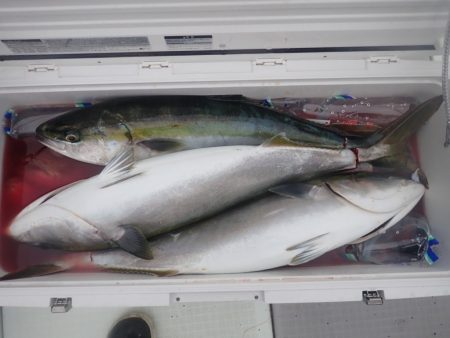 Aquanaut（アクアノート） 釣果