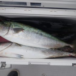 Aquanaut（アクアノート） 釣果