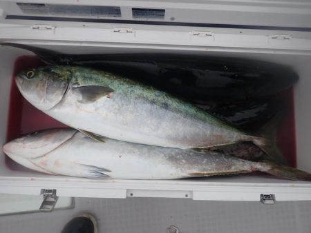 Aquanaut（アクアノート） 釣果