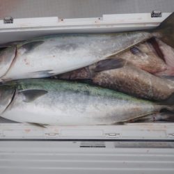 Aquanaut（アクアノート） 釣果