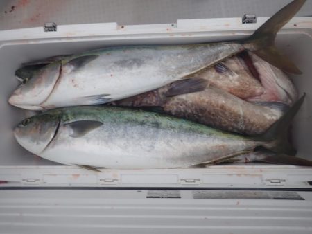 Aquanaut（アクアノート） 釣果