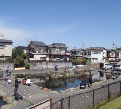 朝霞ガーデン 釣果