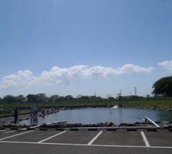 朝霞ガーデン 釣果