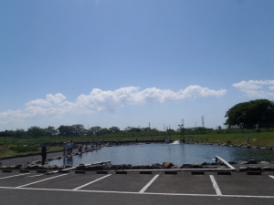 朝霞ガーデン 釣果