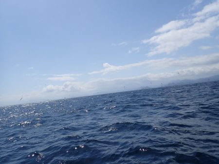 Aquanaut(アクアノート) 釣果