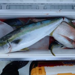 Aquanaut(アクアノート) 釣果