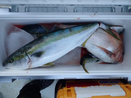 Aquanaut(アクアノート) 釣果