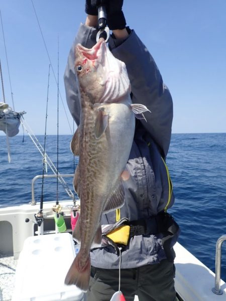 Aquanaut(アクアノート) 釣果