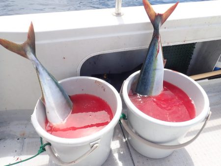 Aquanaut(アクアノート) 釣果