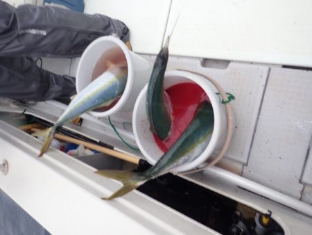 Aquanaut(アクアノート) 釣果